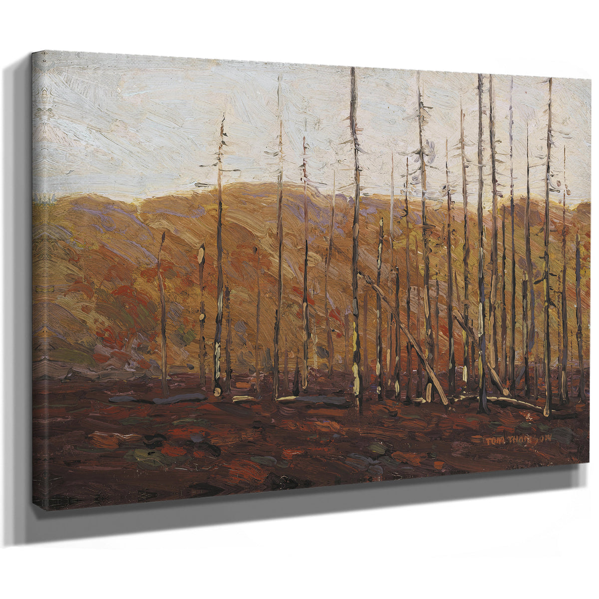Thomson Autumn Algonquin Park Fall 02 By Tom Thomson