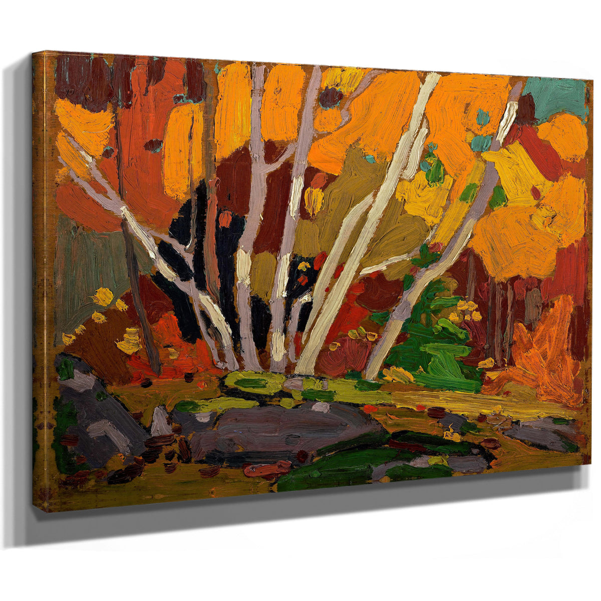 Thomson Autumn Birches 02 By Tom Thomson