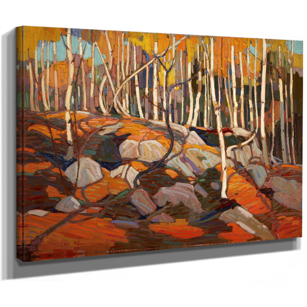 Thomson Birch Grove Autumn 02 By Tom Thomson