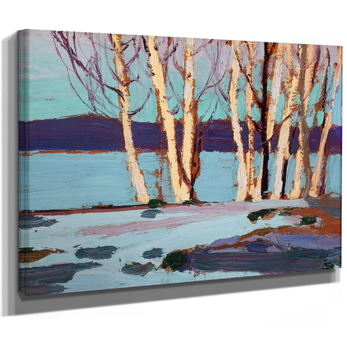 Thomson Birches Spring 1917 02 By Tom Thomson