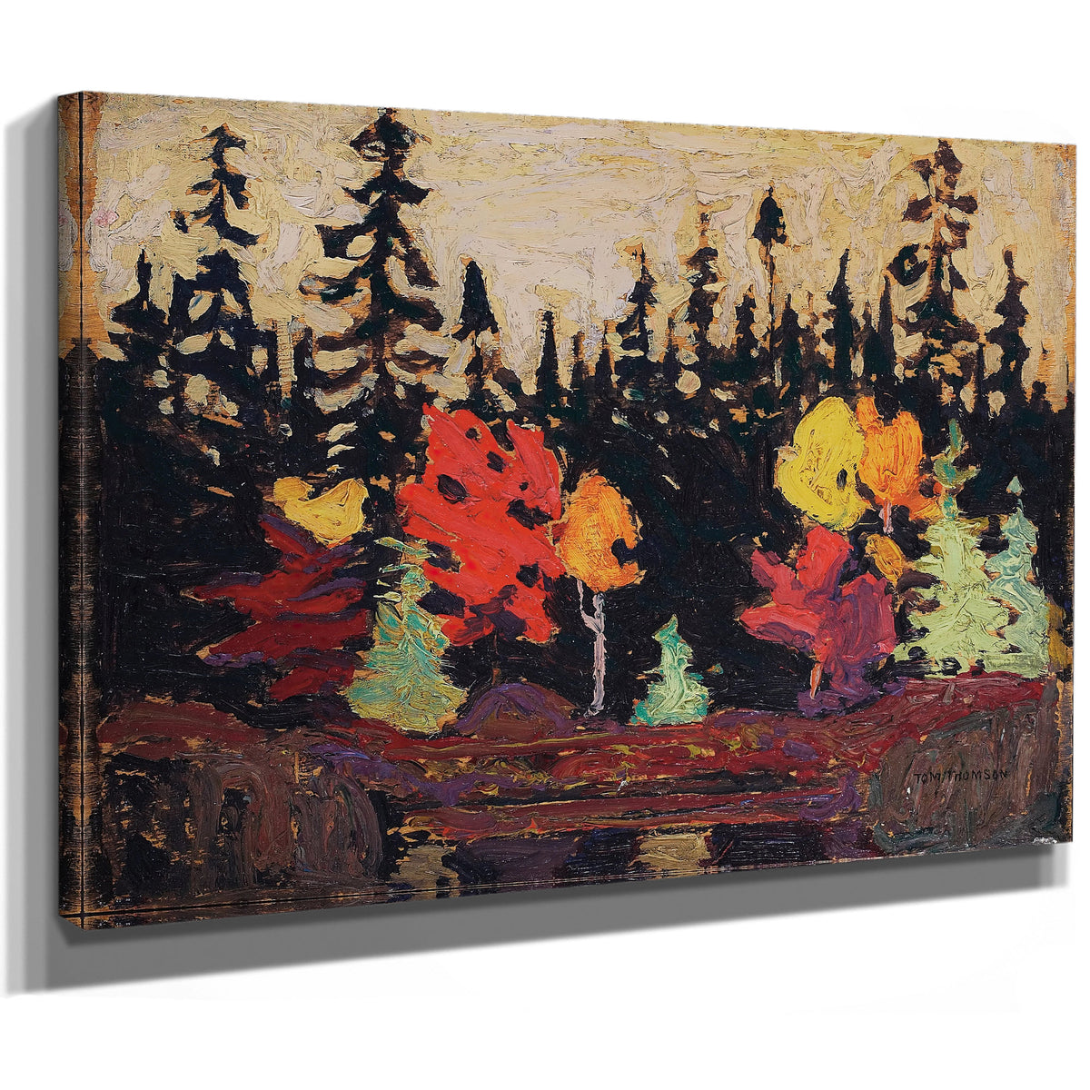 Thomson Black Spruce Maple Google Art 02 By Tom Thomson
