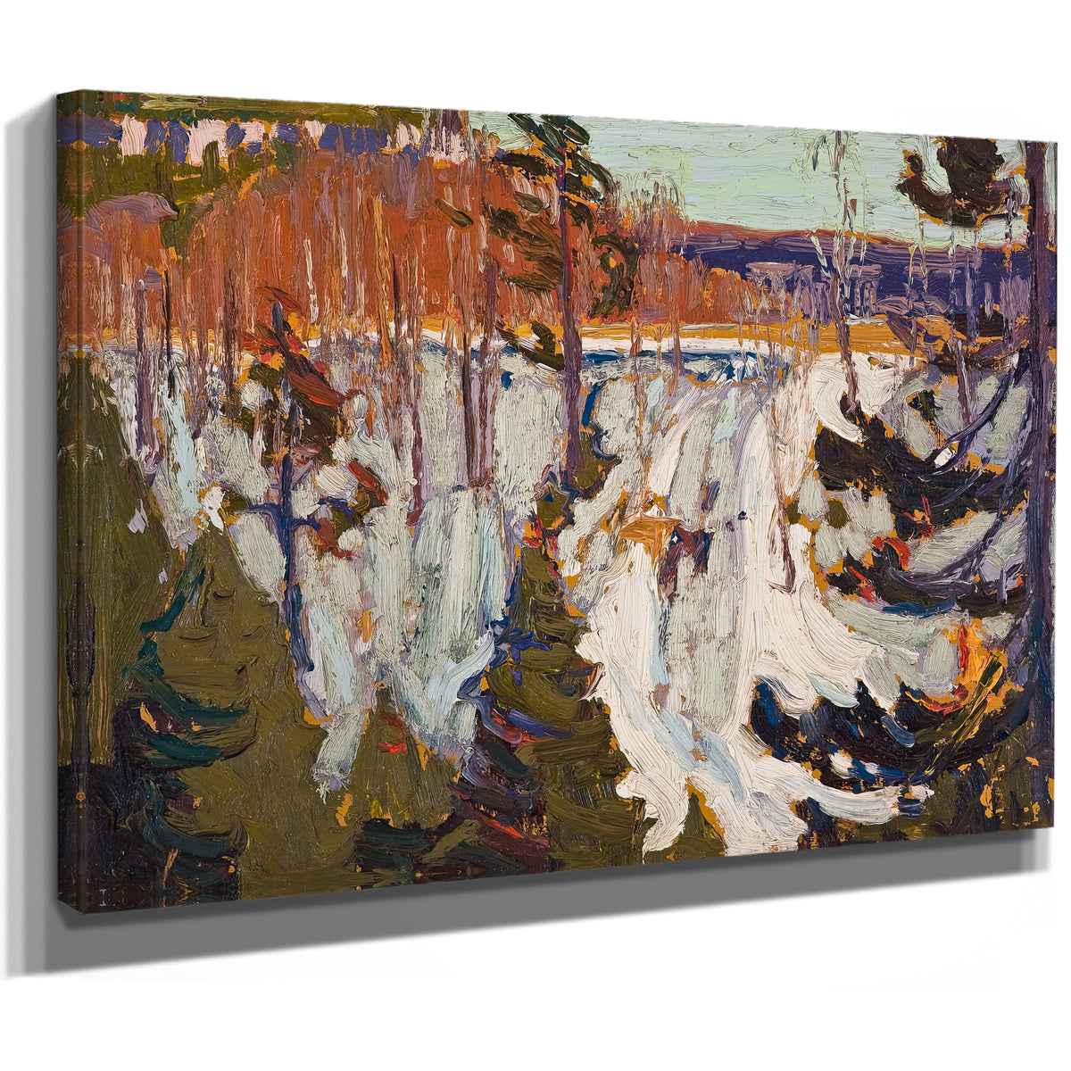 Thomson Snow Bank 02 By Tom Thomson