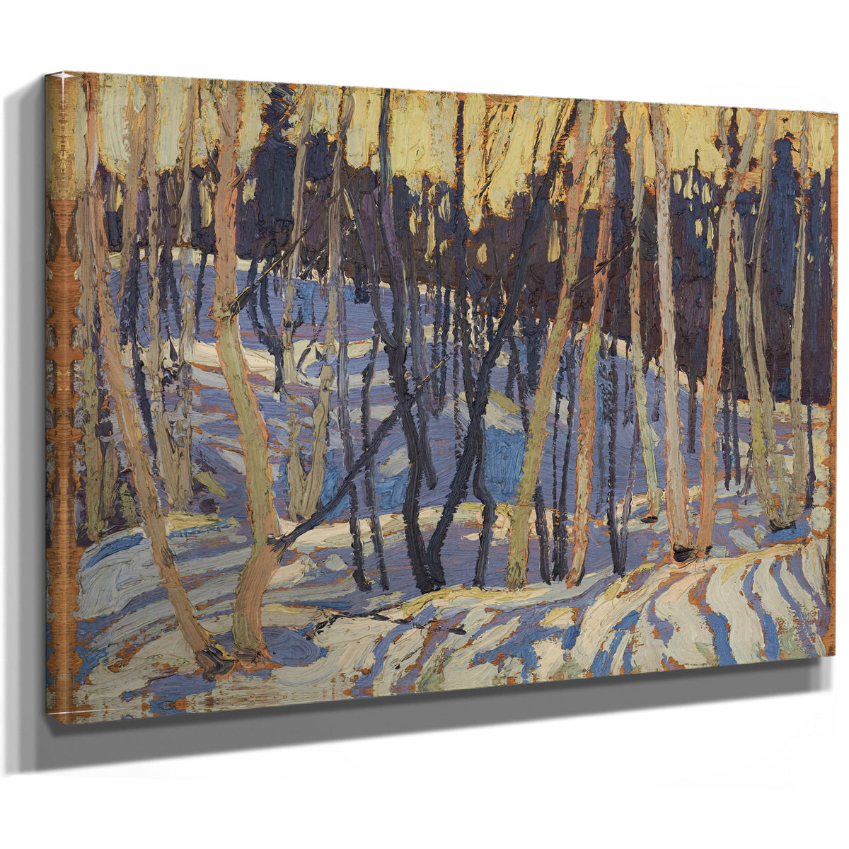 Thomson Snow Shadows 02 By Tom Thomson