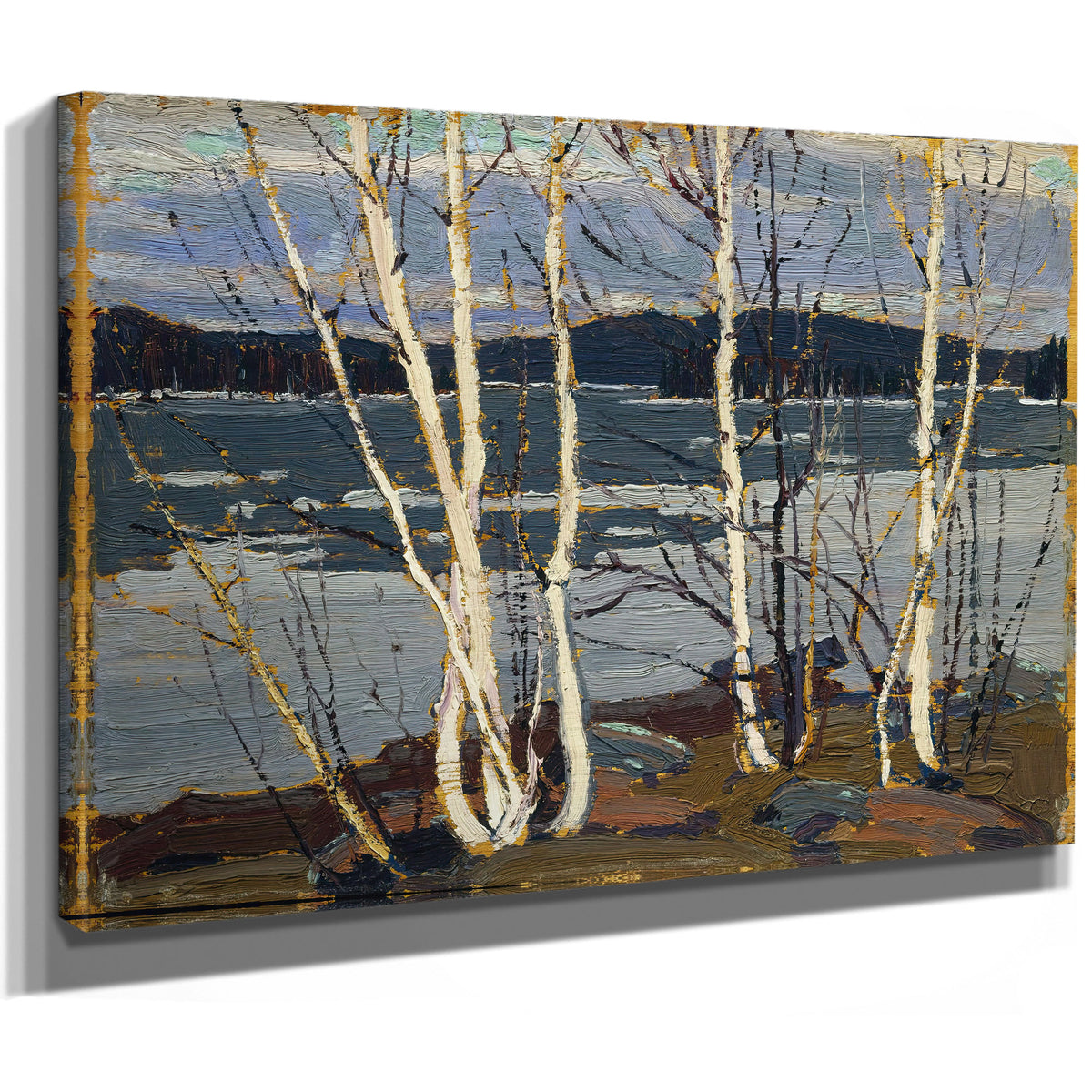 Thomson Spring Algonquin Park 02 By Tom Thomson