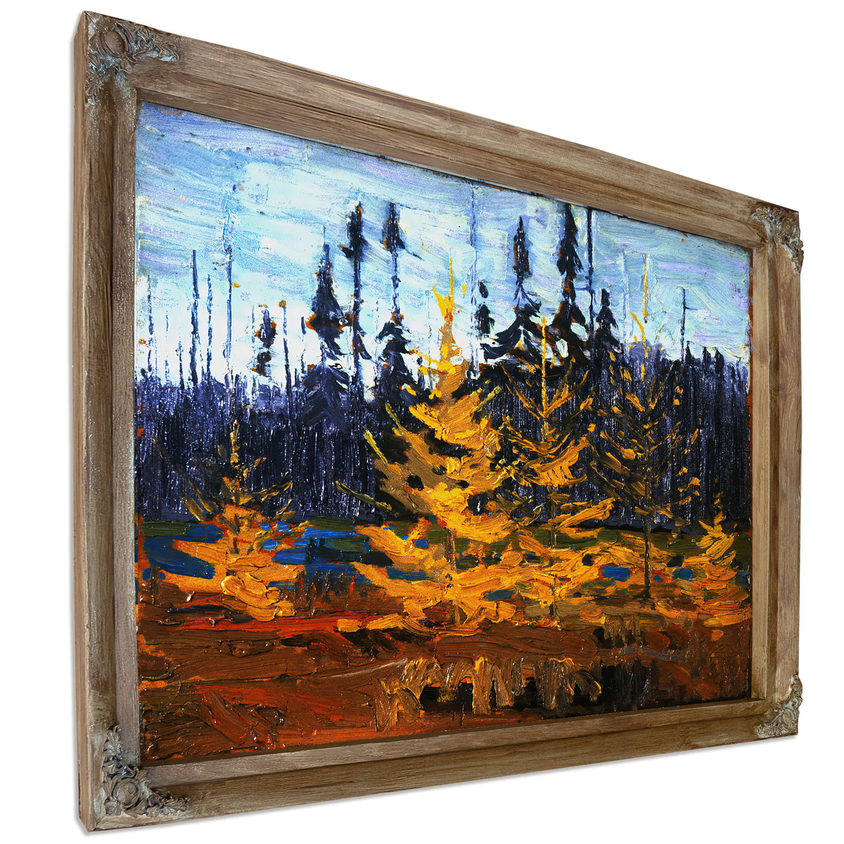 Thomson Tamaracks 02 By Tom Thomson