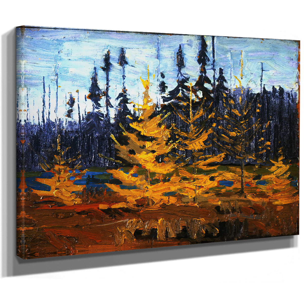 Thomson Tamaracks 02 By Tom Thomson