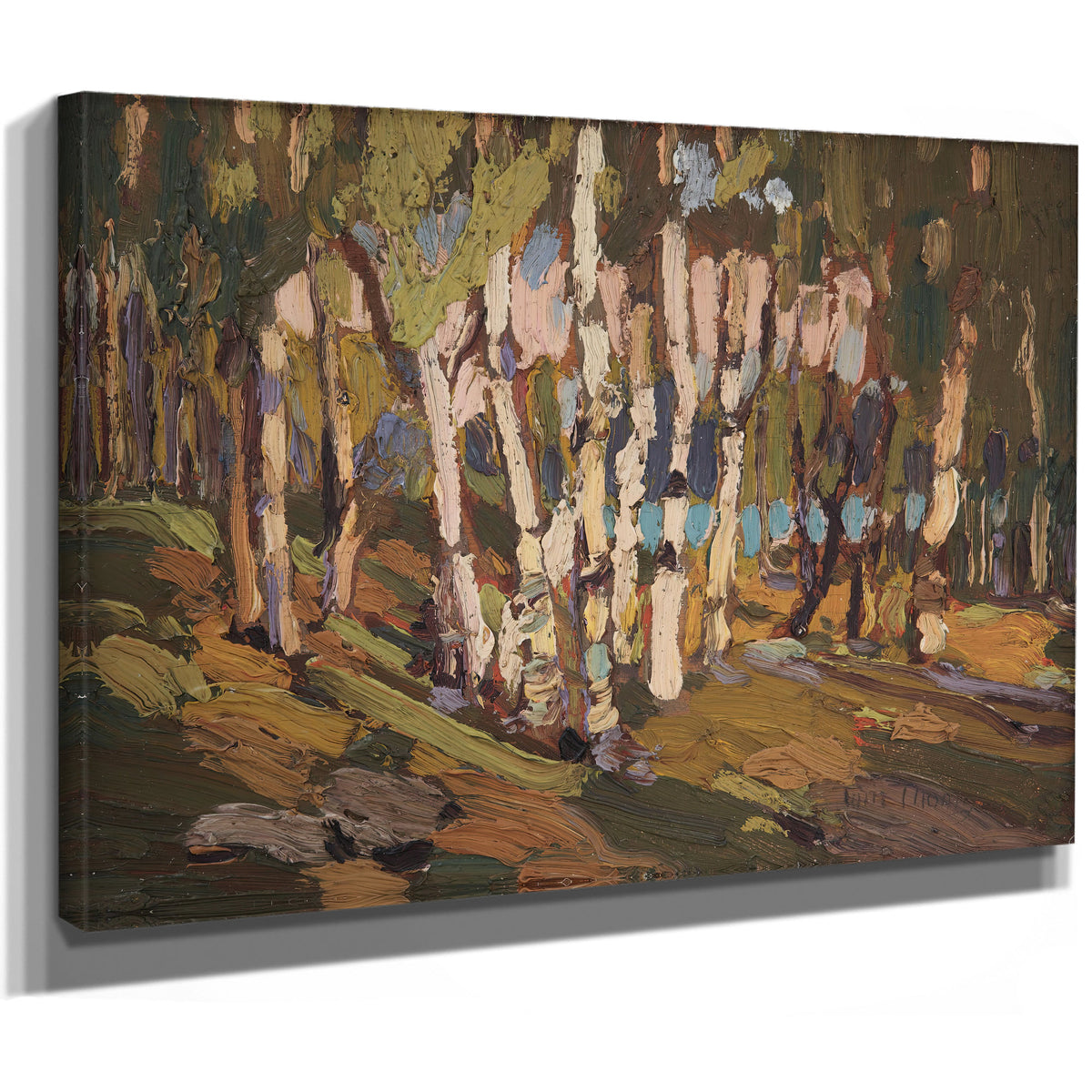 Thomson White Birches 02 By Tom Thomson