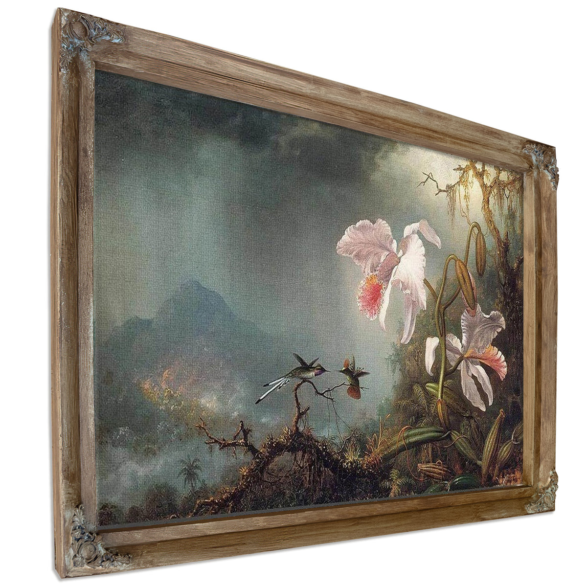 Two Fighting Hummingbirds With Two Orchids By Martin Johnson Heade