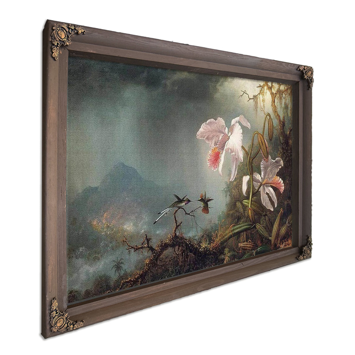 Two Fighting Hummingbirds With Two Orchids By Martin Johnson Heade