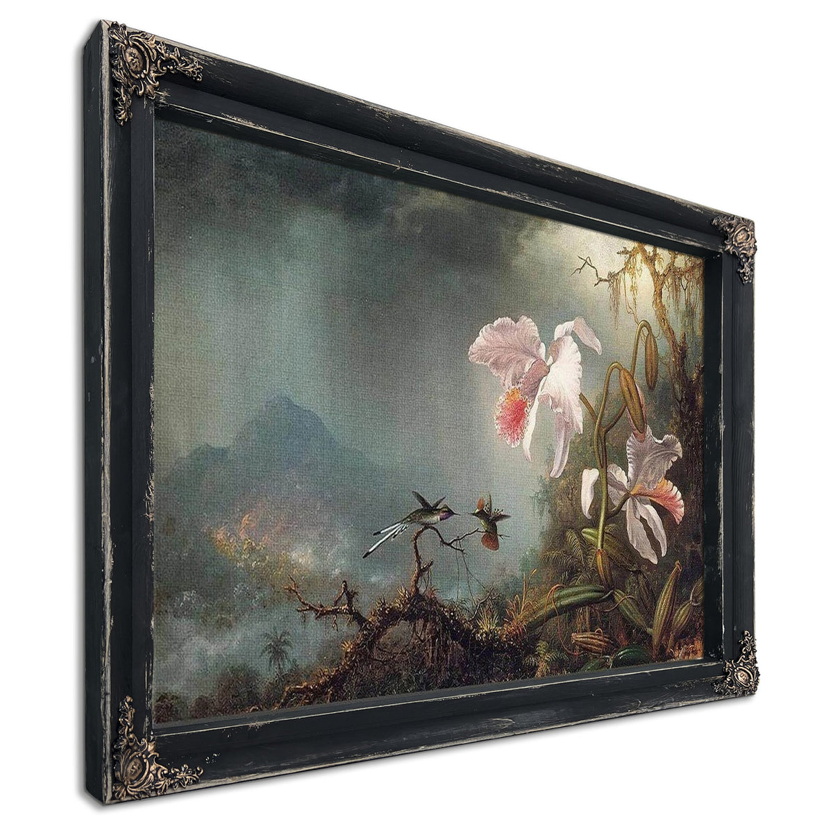 Two Fighting Hummingbirds With Two Orchids By Martin Johnson Heade