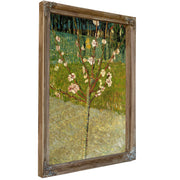 Almond Tree Blossom By Vincent van Gogh