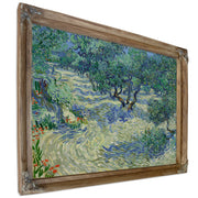 Olive Orchard By Vincent van Gogh