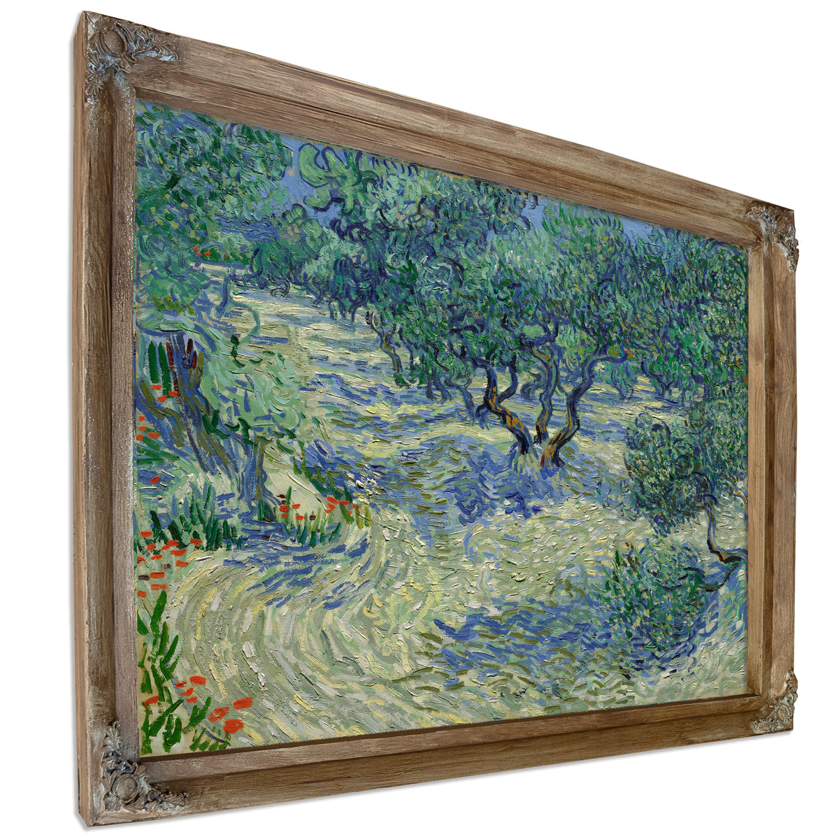 Olive Orchard By Vincent van Gogh