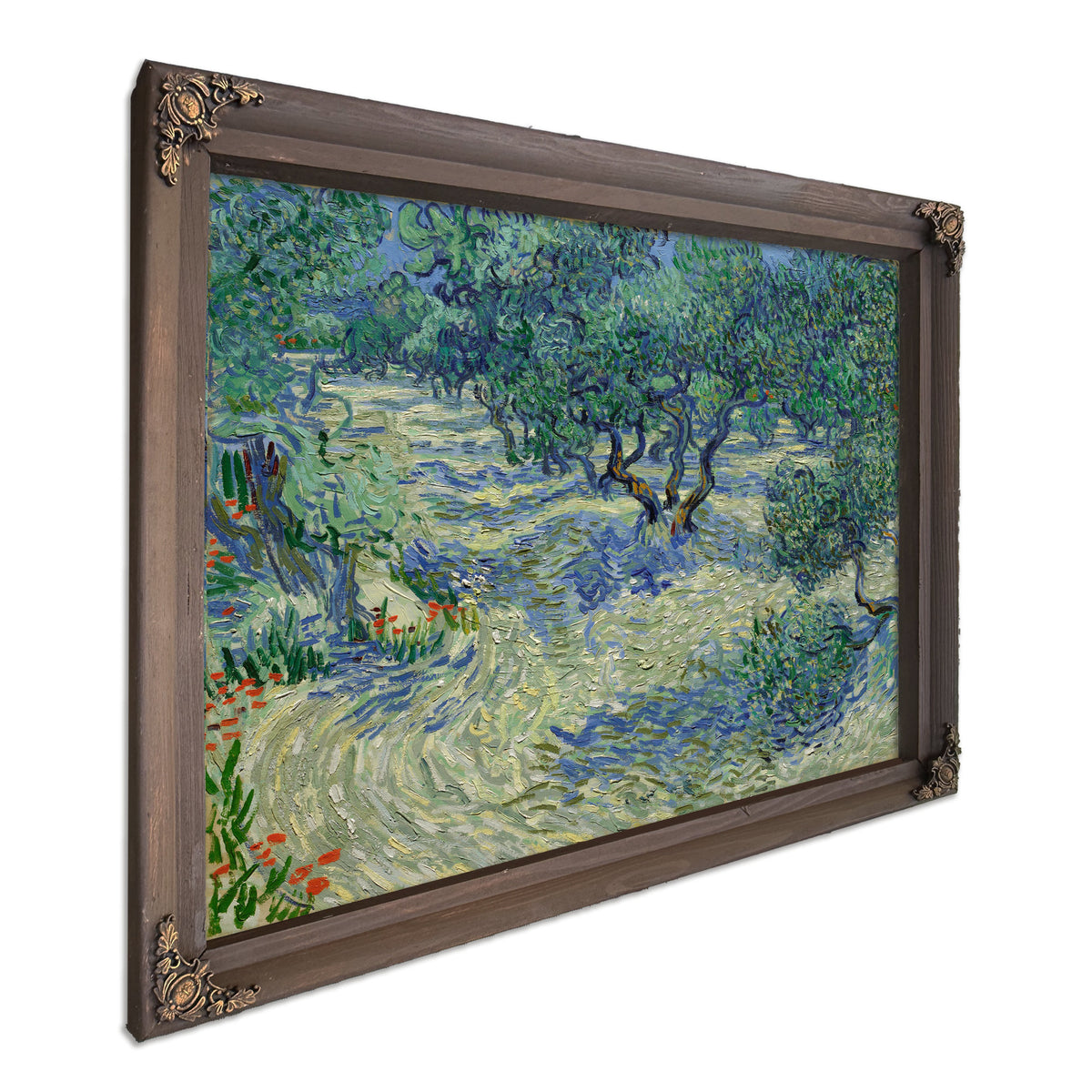 Olive Orchard By Vincent van Gogh