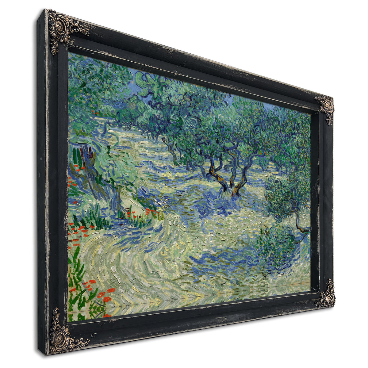 Olive Orchard By Vincent van Gogh