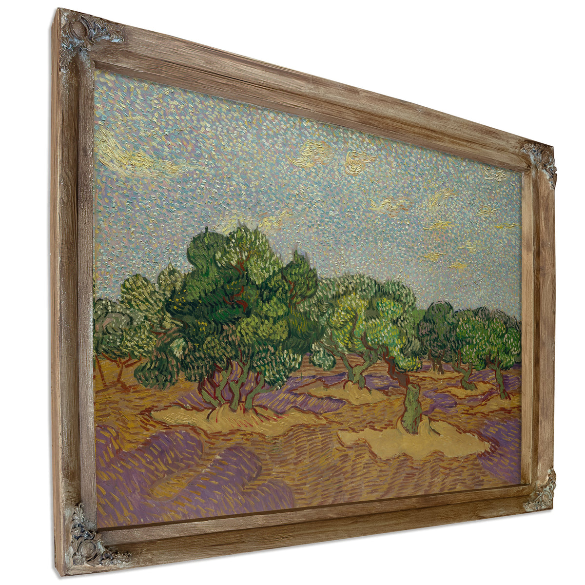 Olive Trees 1889 By Vincent van Gogh