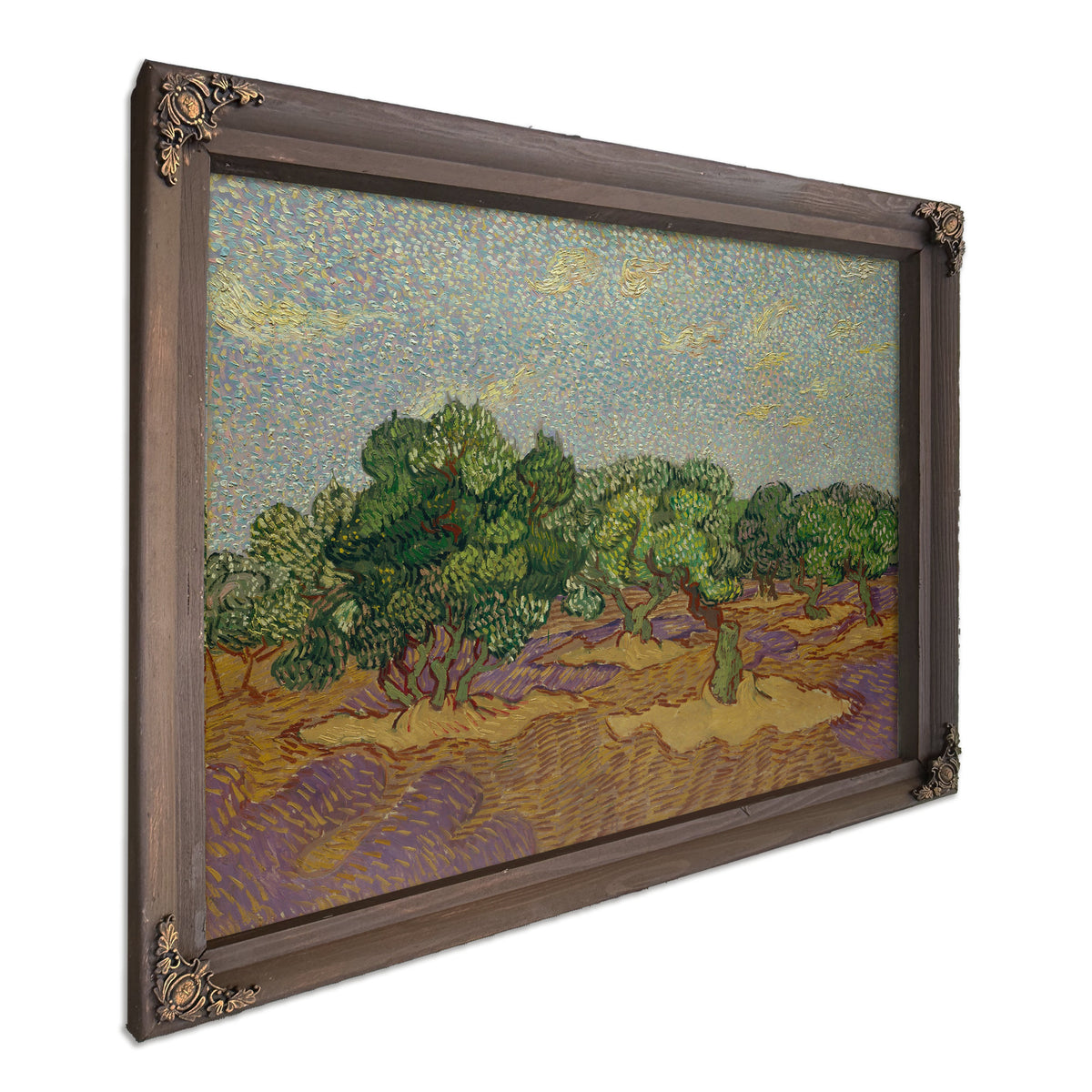 Olive Trees 1889 By Vincent van Gogh