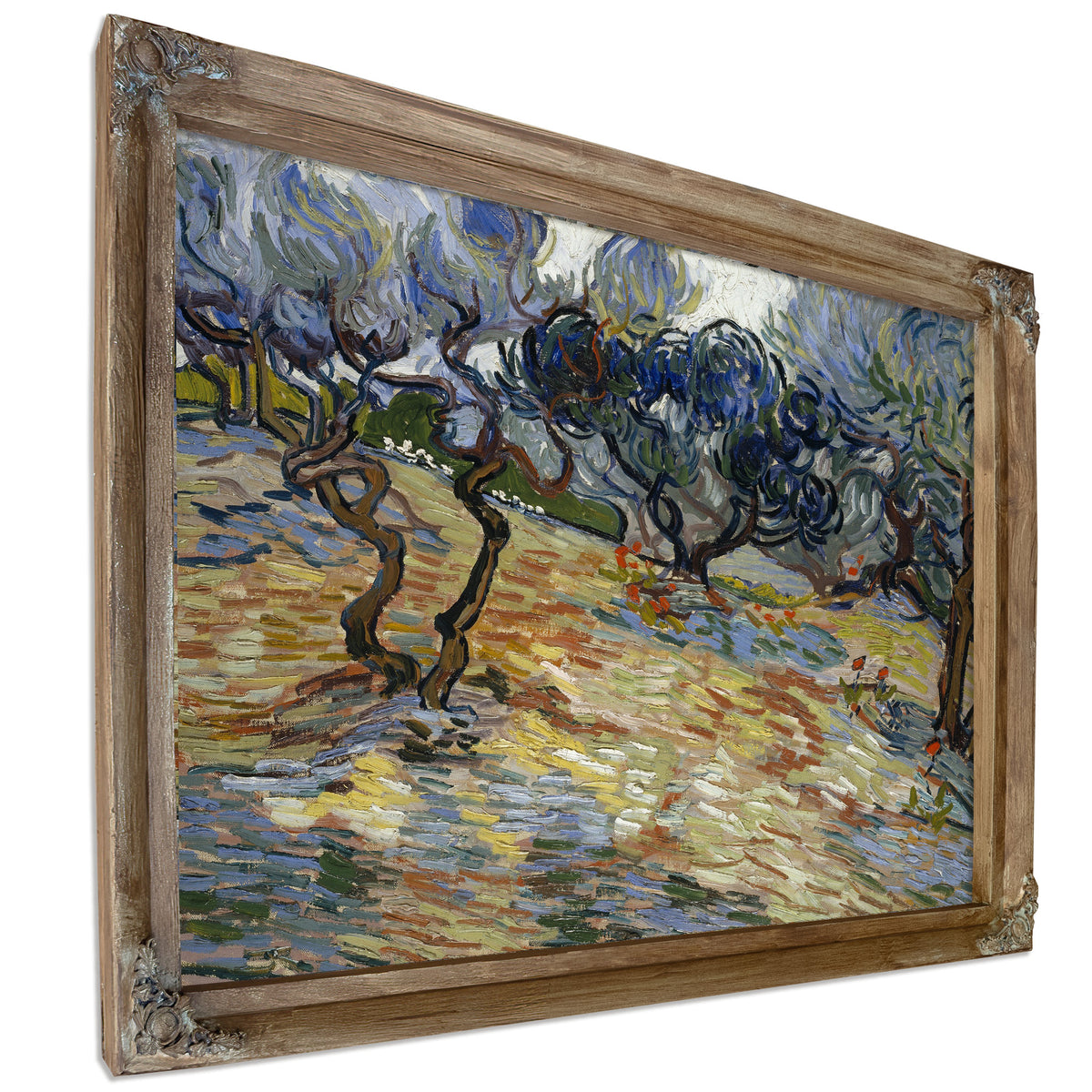 Olive Trees By Vincent van Gogh