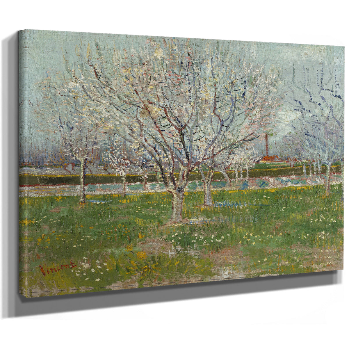 Orchard Blossom Plum Trees By Vincent van Gogh