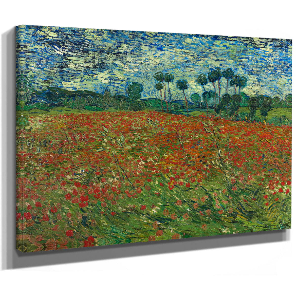 Poppy Field By Vincent van Gogh