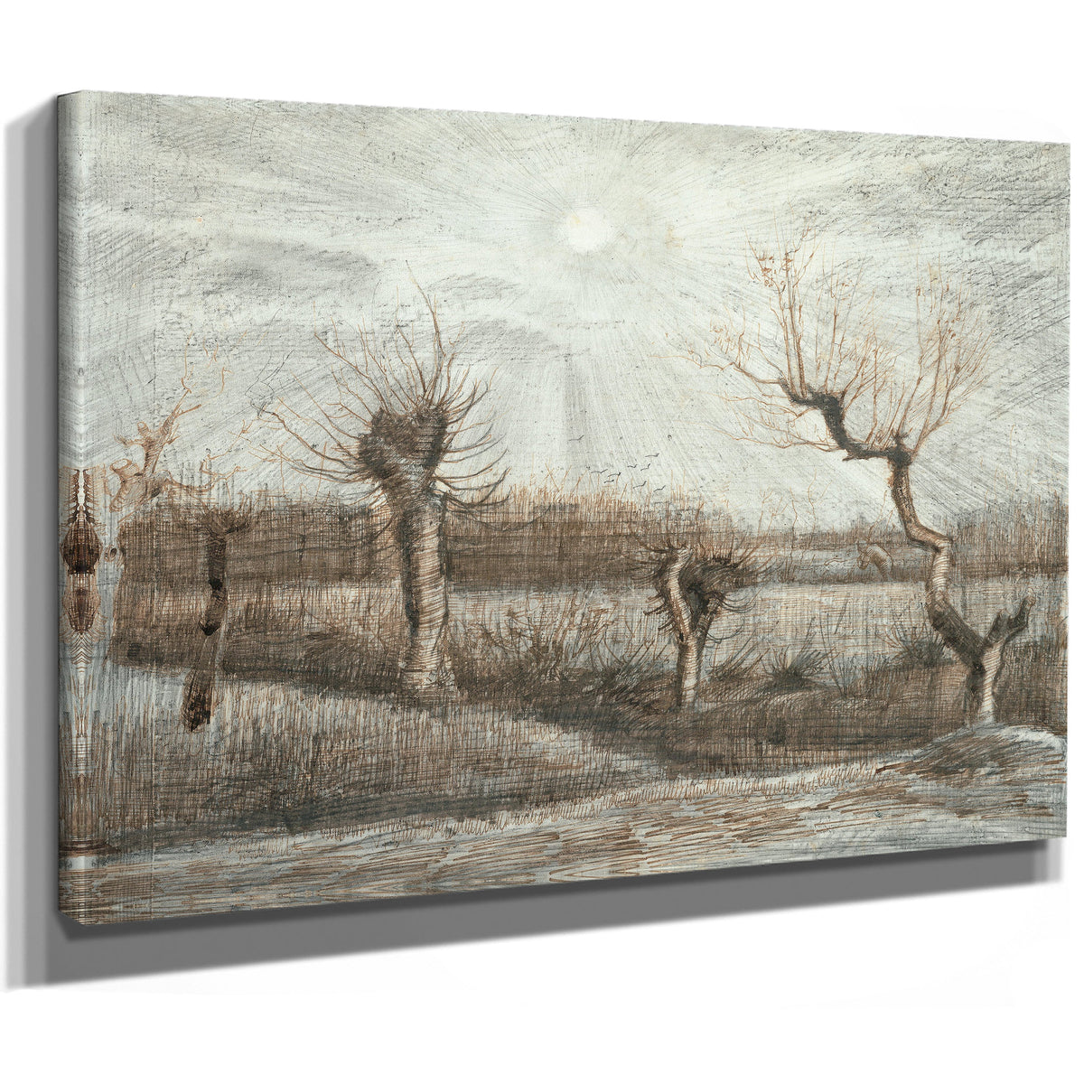 Tetards Pollards 1884 By Vincent van Gogh