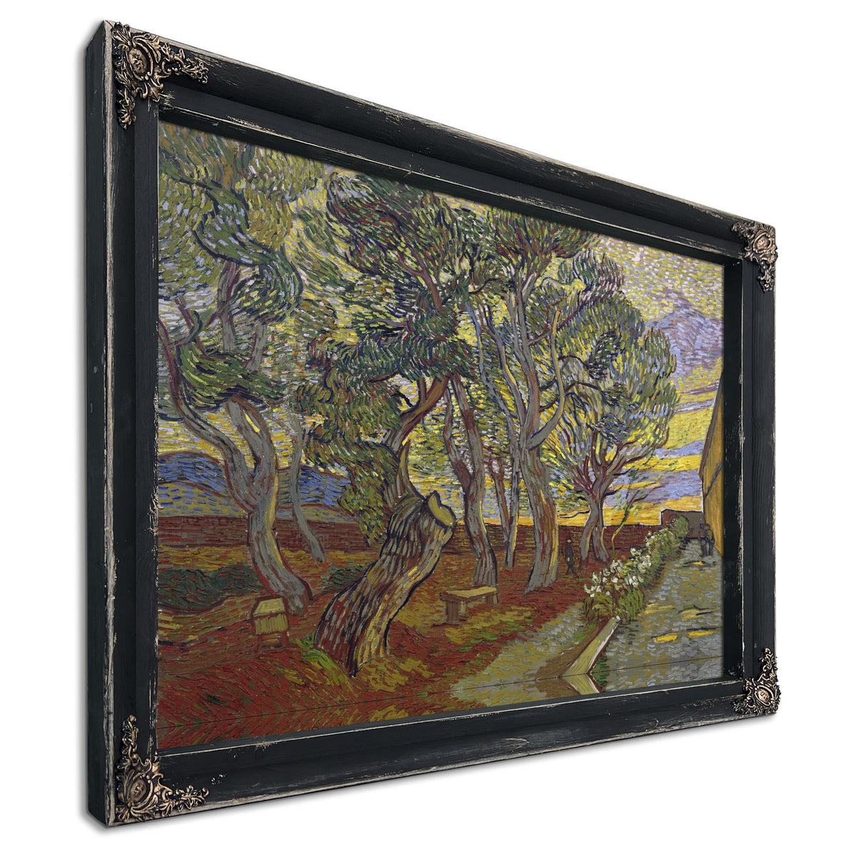 The Garden Saint Pauls Hospital By Vincent van Gogh