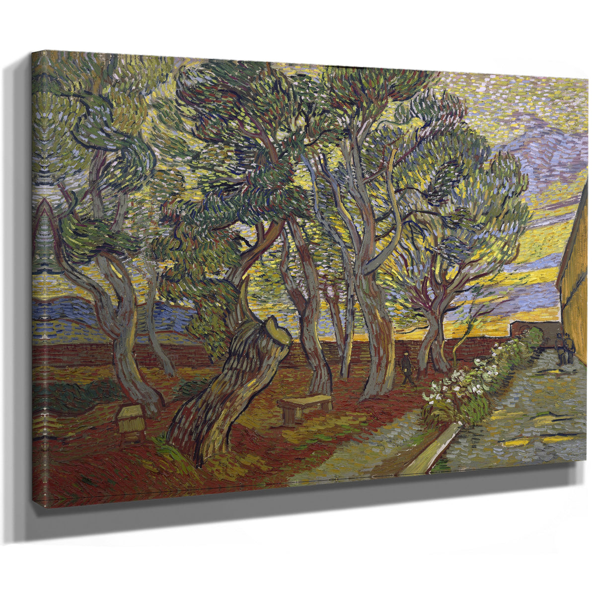 The Garden Saint Pauls Hospital By Vincent van Gogh