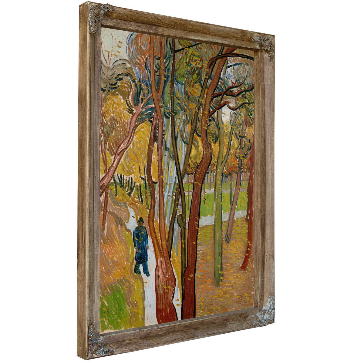 The Garden Saint Pauls Hospital Fall By Vincent van Gogh
