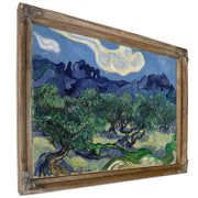 The Olive Trees 1889 By Vincent van Gogh