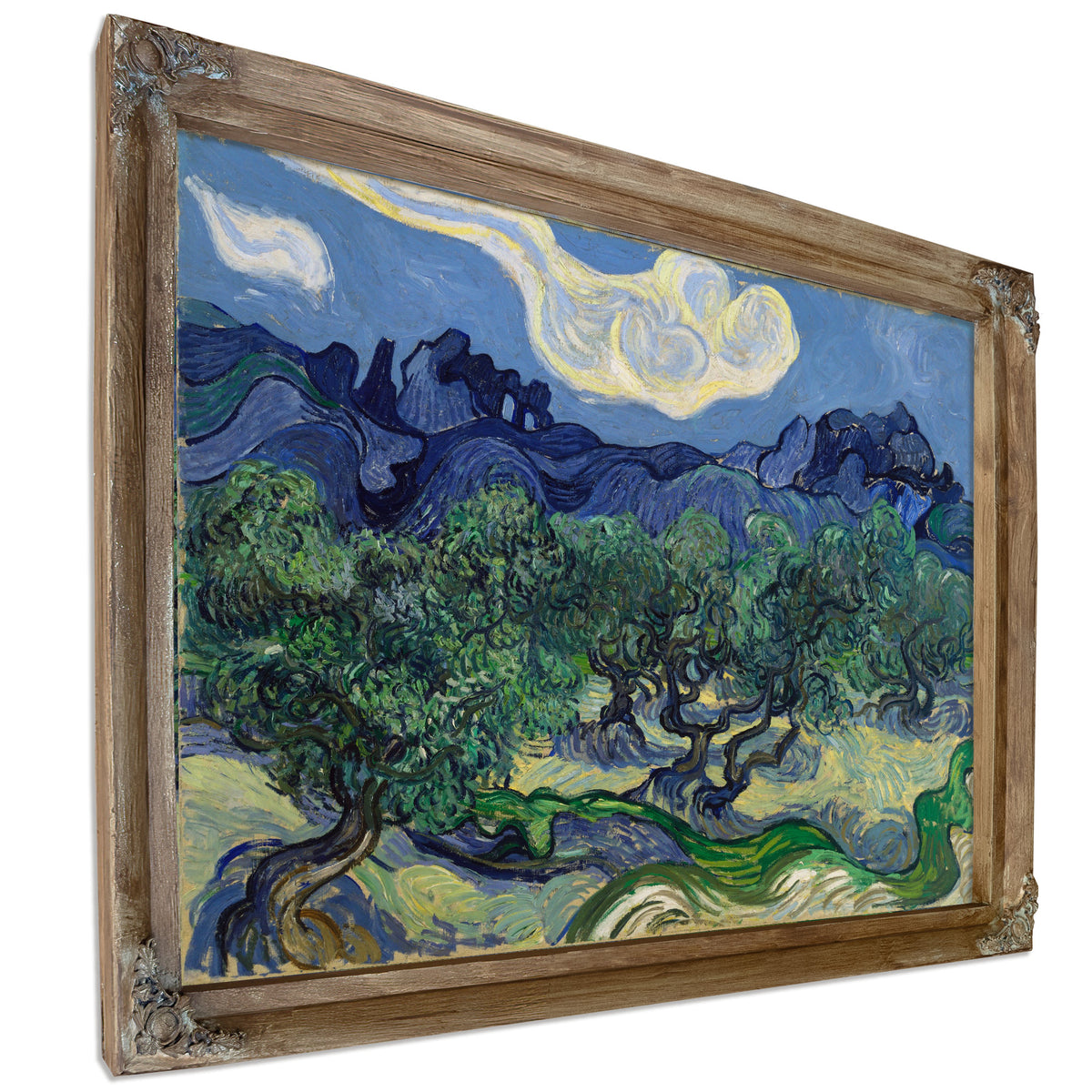 The Olive Trees 1889 By Vincent van Gogh