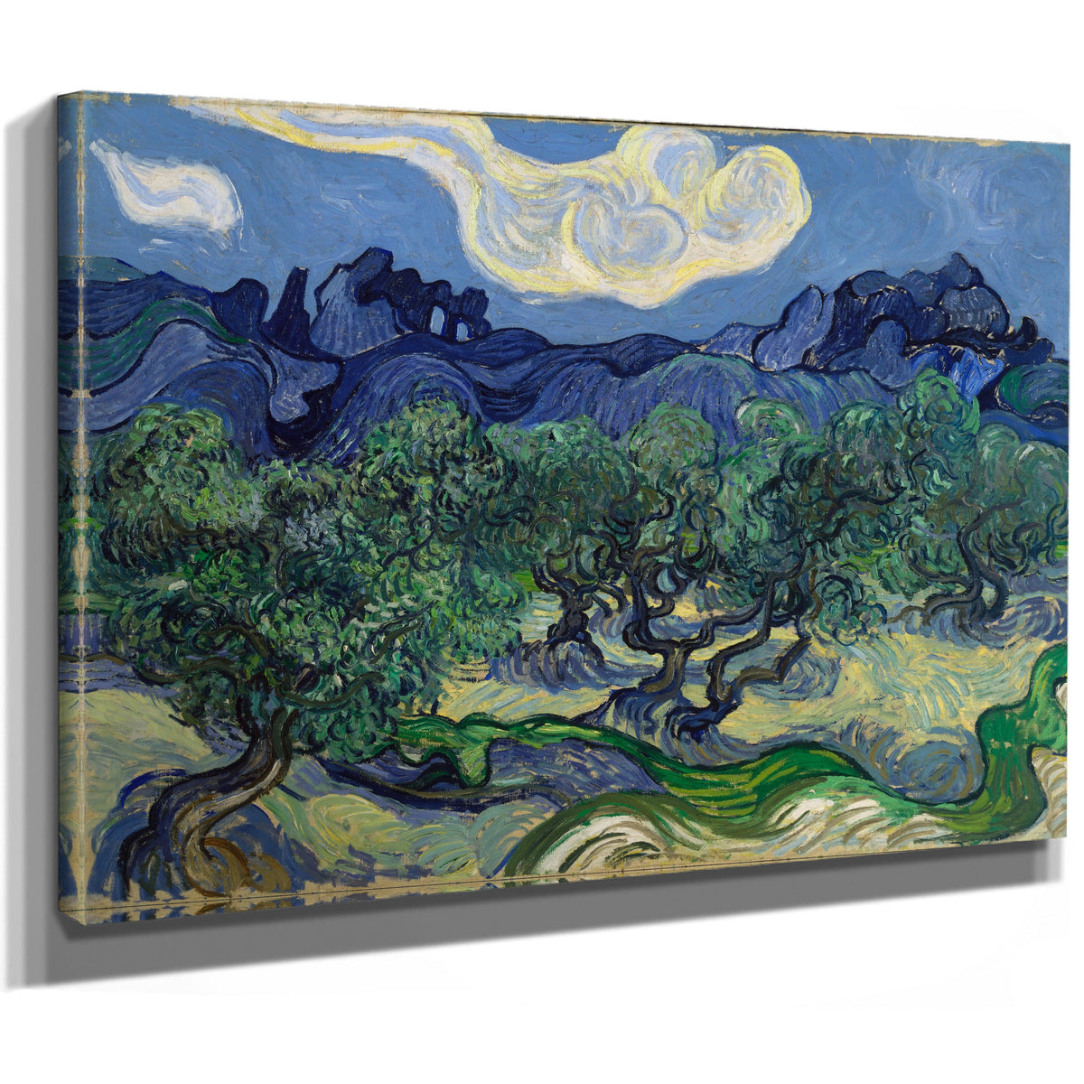 The Olive Trees 1889 By Vincent van Gogh