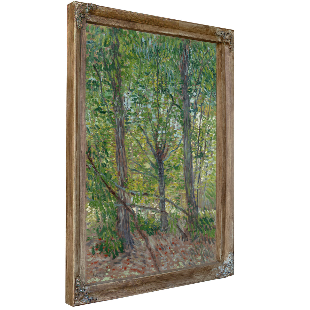 Trees By Vincent van Gogh