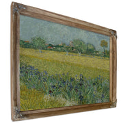 View Arles Irises 1888 By Vincent van Gogh