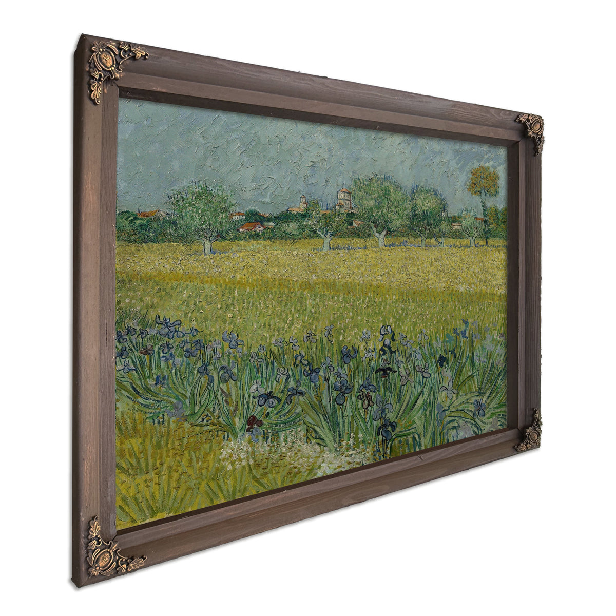 View Arles Irises 1888 By Vincent van Gogh