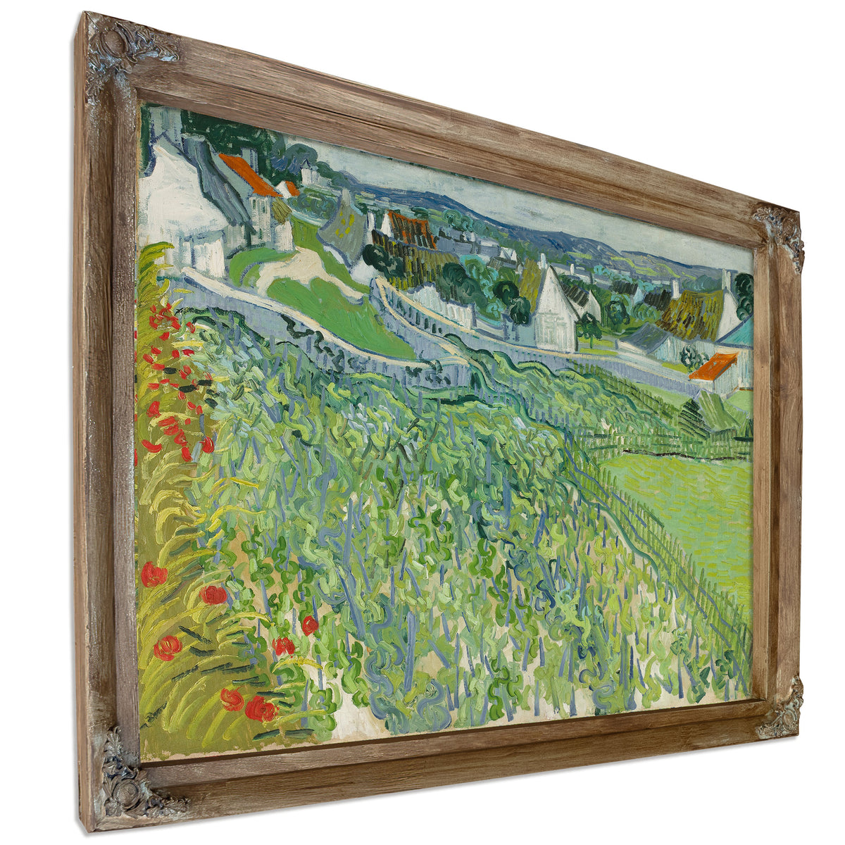 Vineyards Auvers 1890 By Vincent van Gogh