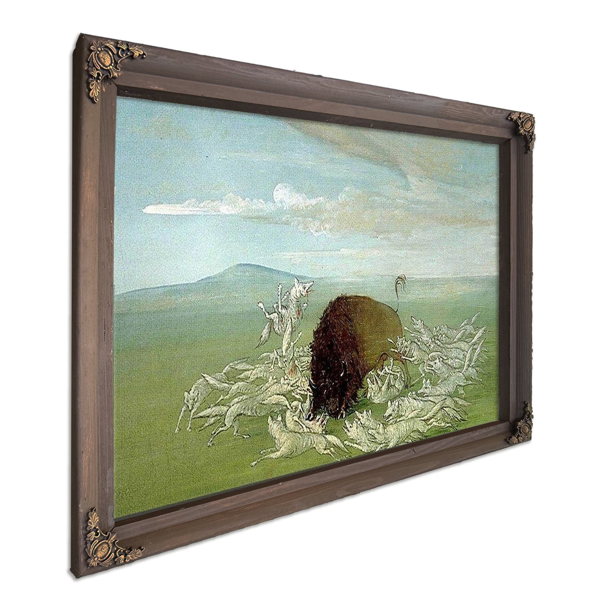 White Wolves Attacking A Buffalo Bull By George Catlin