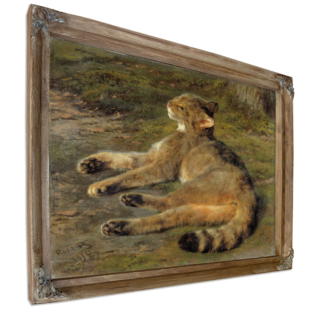Wild Cat by Rosa Bonheur