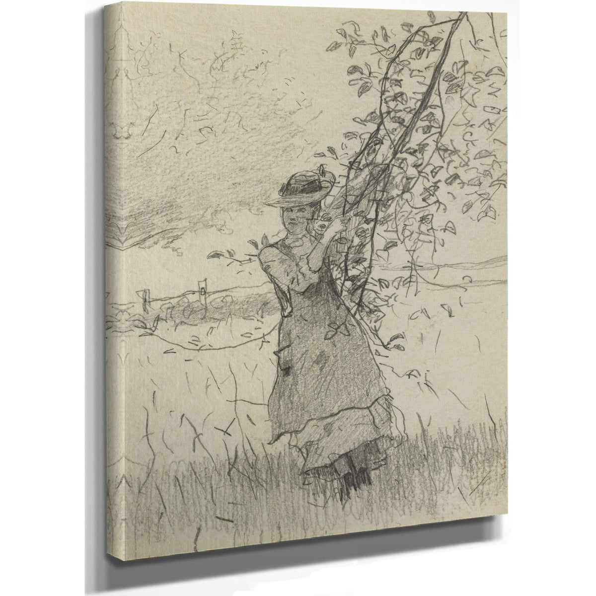 Girl Holding Branch an Apple Tree 1879 By Winslow Homer