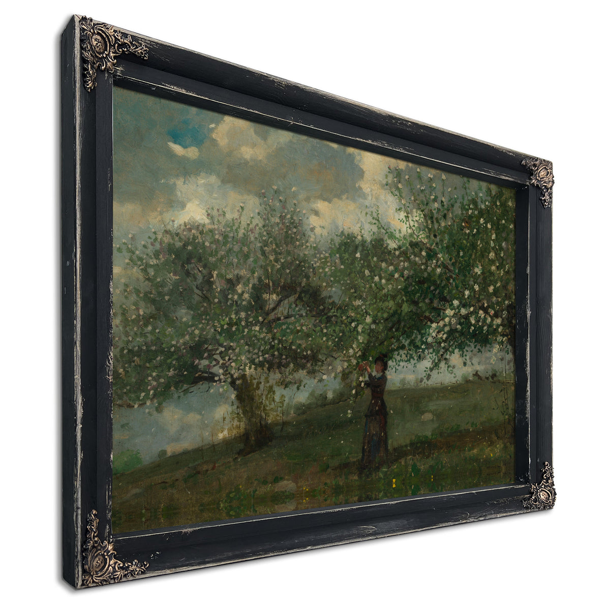 Girl Picking Apple Blossoms 1879 By Winslow Homer