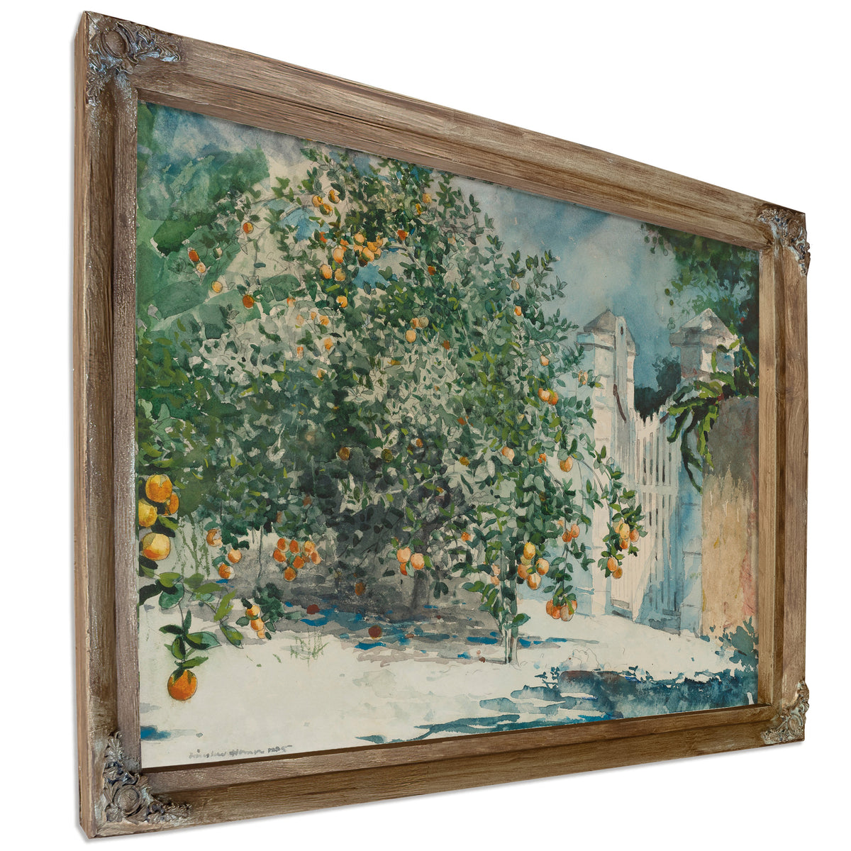 Orange Trees Gate 1885 By Winslow Homer