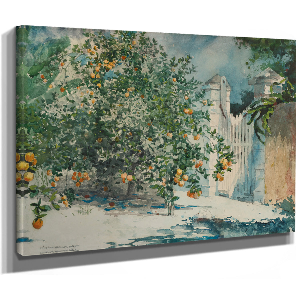 Orange Trees Gate 1885 By Winslow Homer