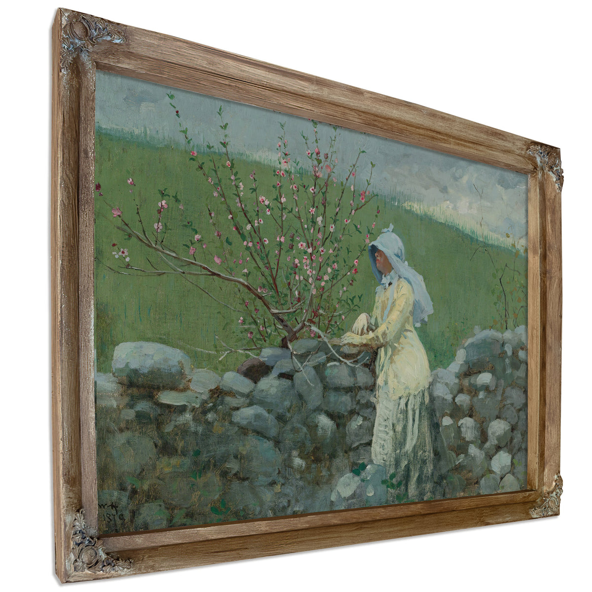 Peach Blossoms 1879 By Winslow Homer