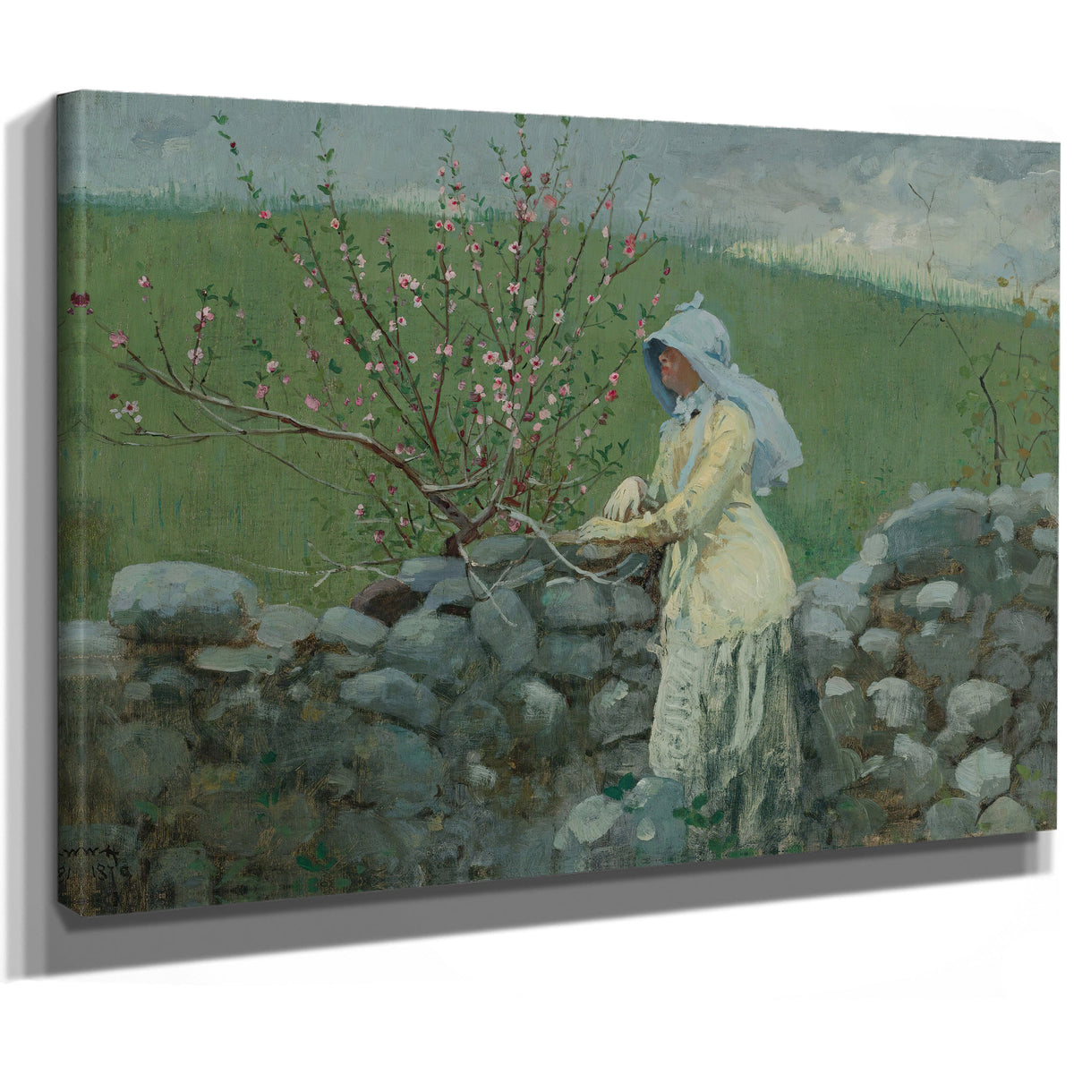 Peach Blossoms 1879 By Winslow Homer