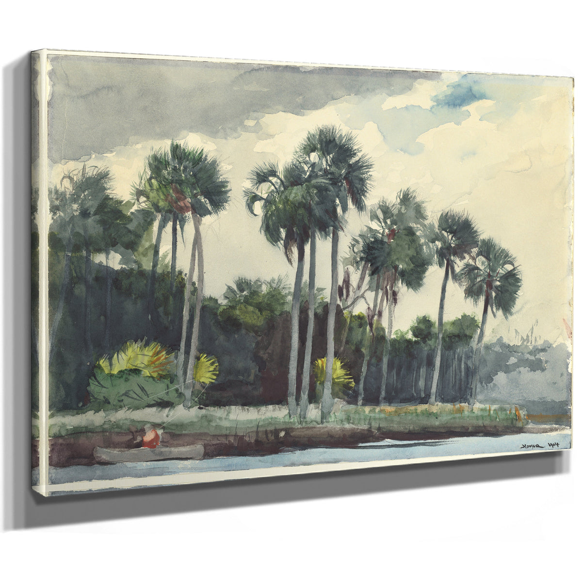 Red Shirt Homosassa Florida 1904 By Winslow Homer