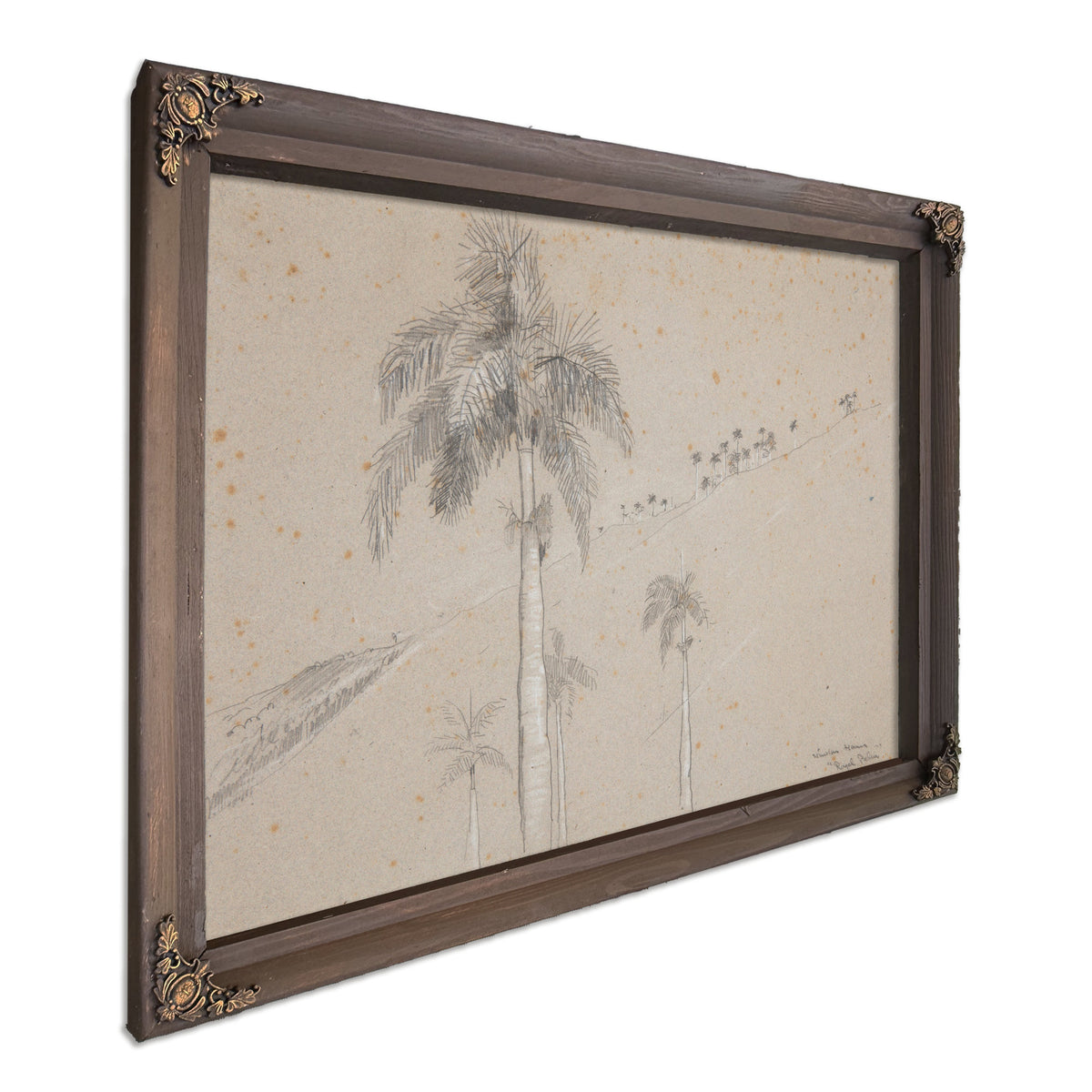 Royal Palm Cuba 1885 By Winslow Homer