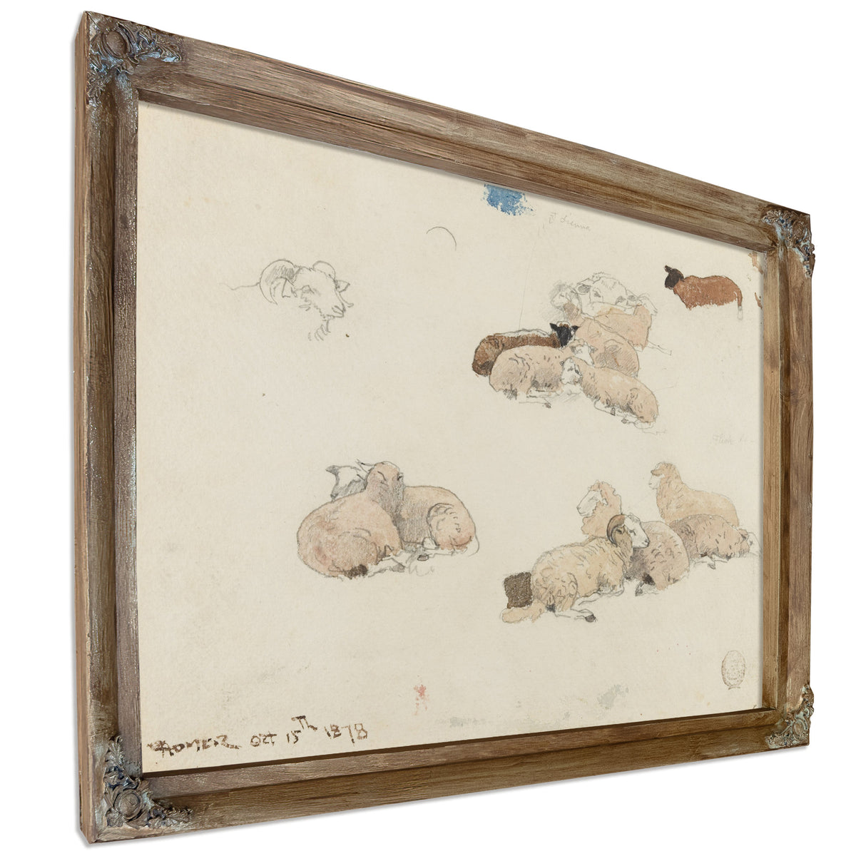 Sheep Resting 1878 02 By Winslow Homer