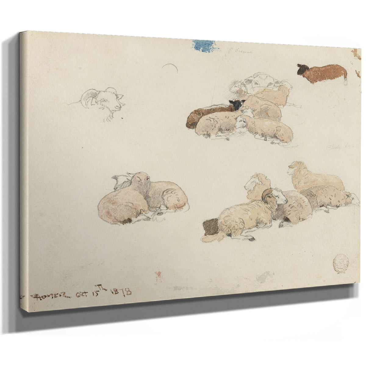 Sheep Resting 1878 02 By Winslow Homer
