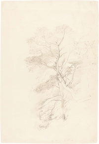 A Beech Wood by John Linnell