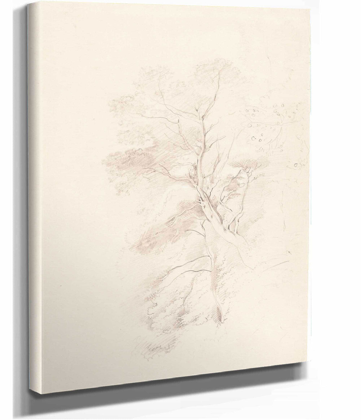 A Beech Wood by John Linnell