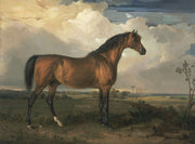 A Border Leicester Ewe by James Ward